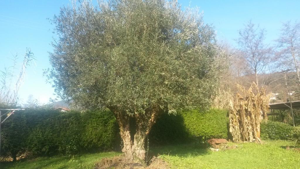 Ibarrondo Etxea Country house